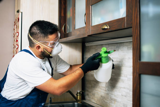 Best Rat Extermination Near Me  in Philadelphia, MS