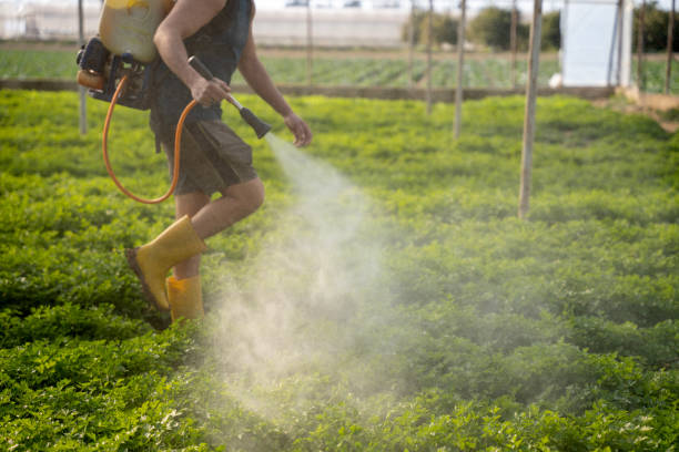 Best Pest Control for Homes  in Philadelphia, MS