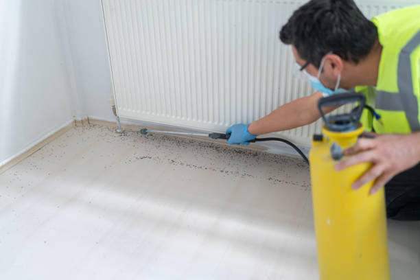 Best Flea Control Services  in Philadelphia, MS